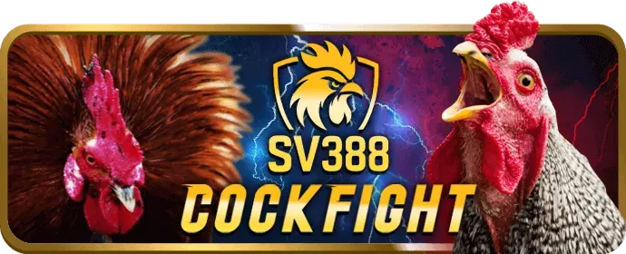 Cá cược bóng đá acb88 nhà cái